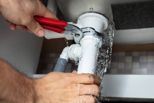 Best Ceiling water damage repair  in Demorest, GA