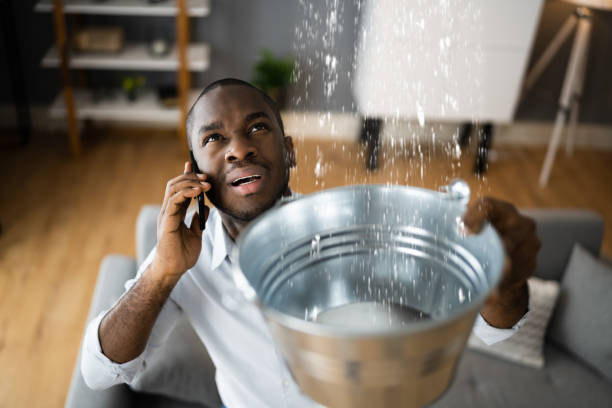 Best 24-hour water damage restoration  in Demorest, GA