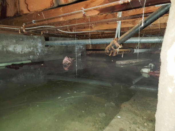 Best Commercial water damage restoration  in Demorest, GA
