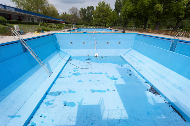 Best Water damage contractors near me  in Demorest, GA
