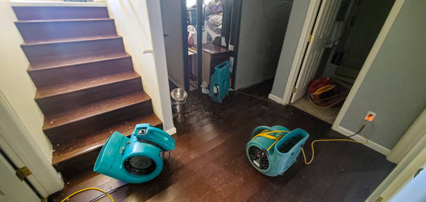 Best Water damage contractors near me  in Demorest, GA