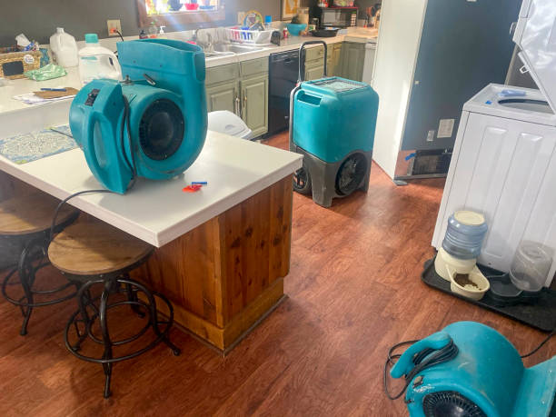 Best Local water damage restoration  in Demorest, GA