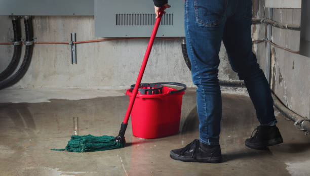 Best Carpet water damage restoration  in Demorest, GA