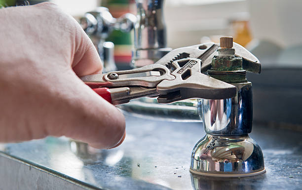Best Professional water damage repair  in Demorest, GA