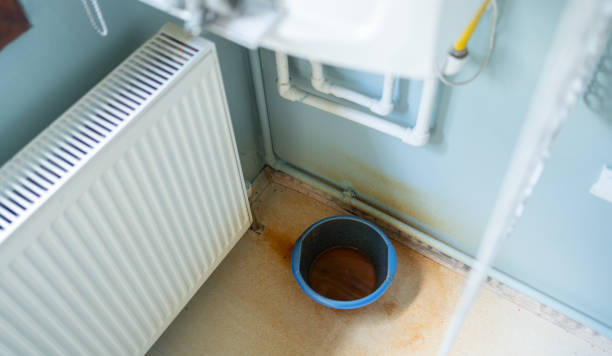 Best Water damage cleanup near me  in Demorest, GA