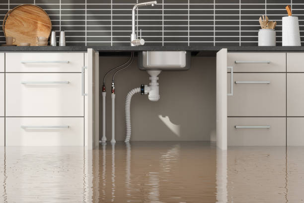 Best Water damage cleanup near me  in Demorest, GA