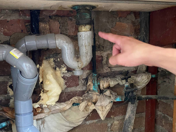 Best Basement water damage restoration  in Demorest, GA