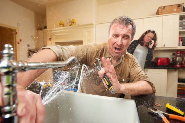 Best Fire Damage Restoration  in Demorest, GA